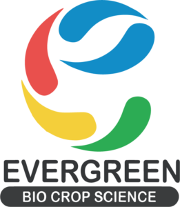 color_logo